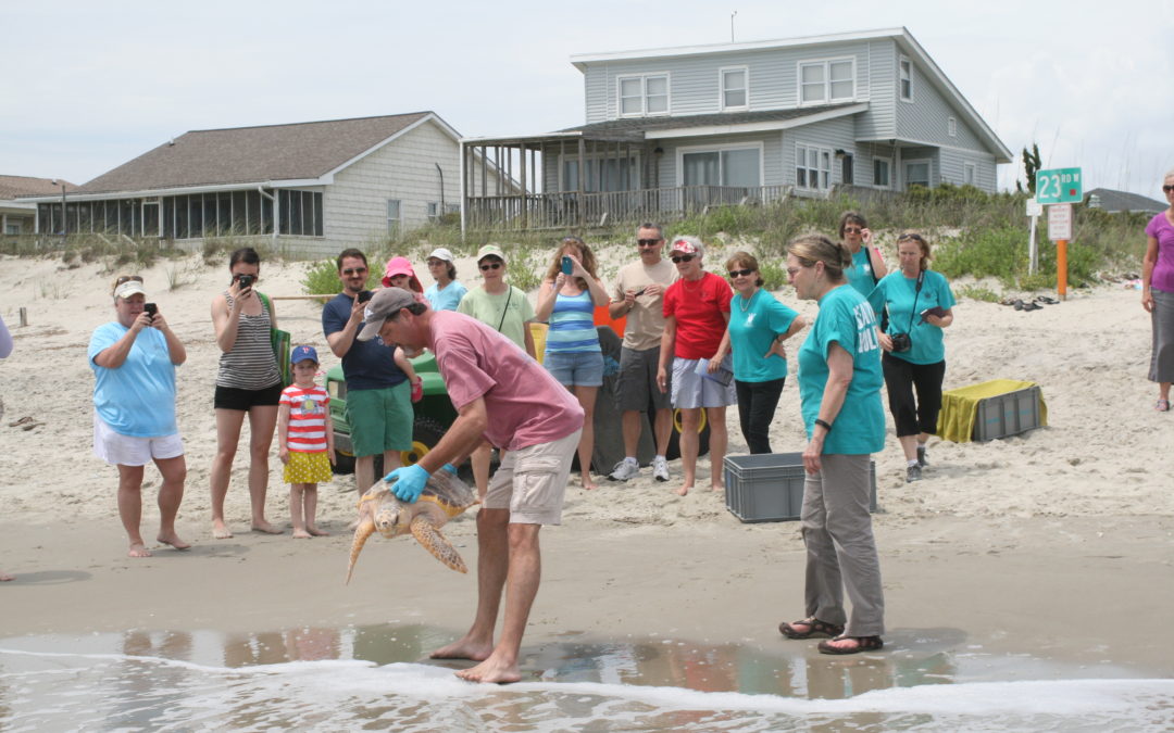 …And They’re Off!