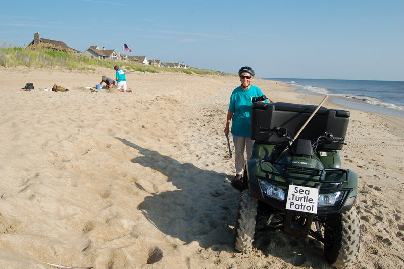 10-Aug-2013 Nest #09 found in Duck, False Crawl #13 in Nags Head