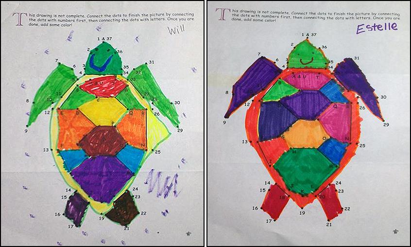 Turtle Art by Will and Estelle