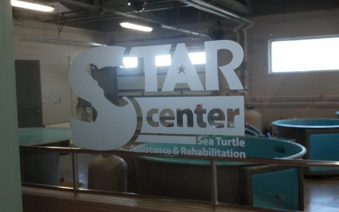 STAR Center opens its doors