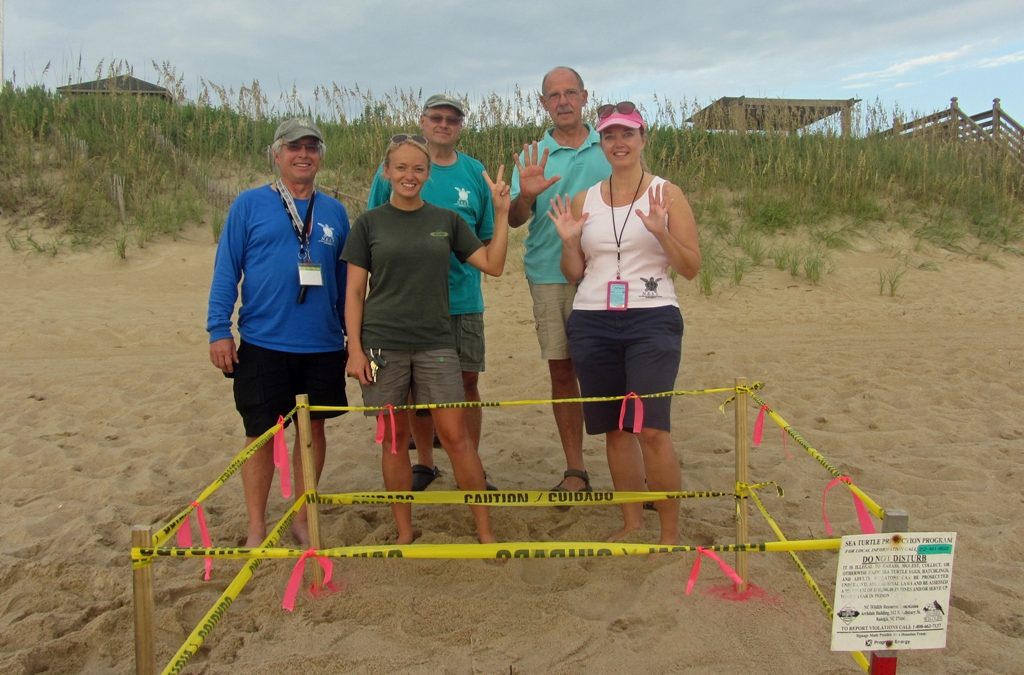 Nest #17 Discovered in Nags Head!