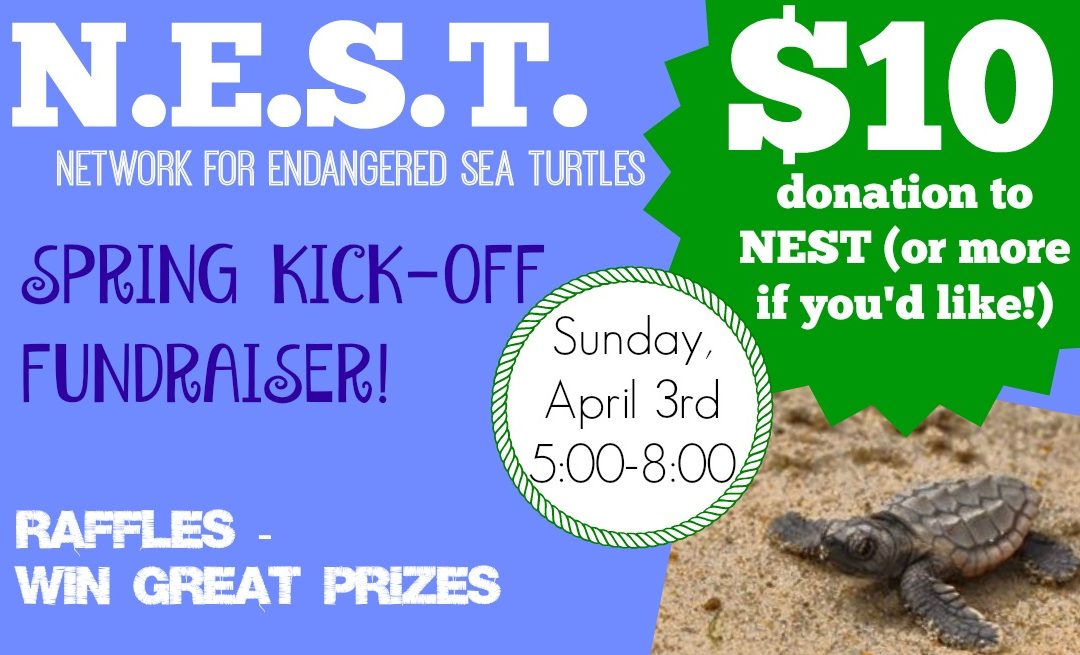 Save the Date!! N.E.S.T. Sea Turtle Fundraiser Set for April 3