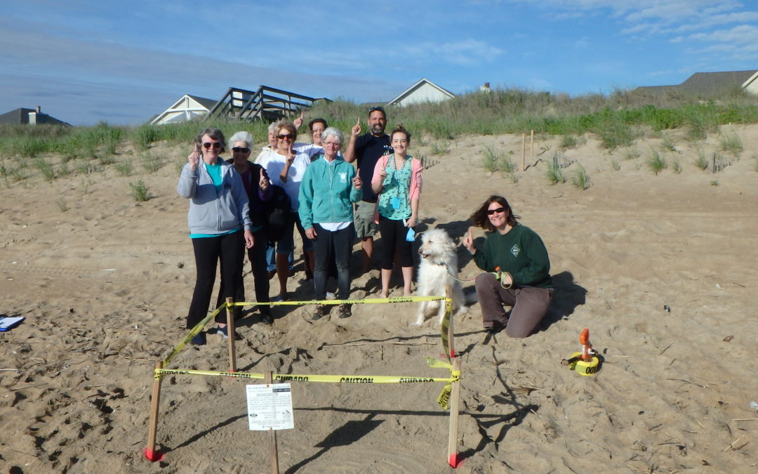 N.E.S.T. FIRST sea turtle nest for 2016