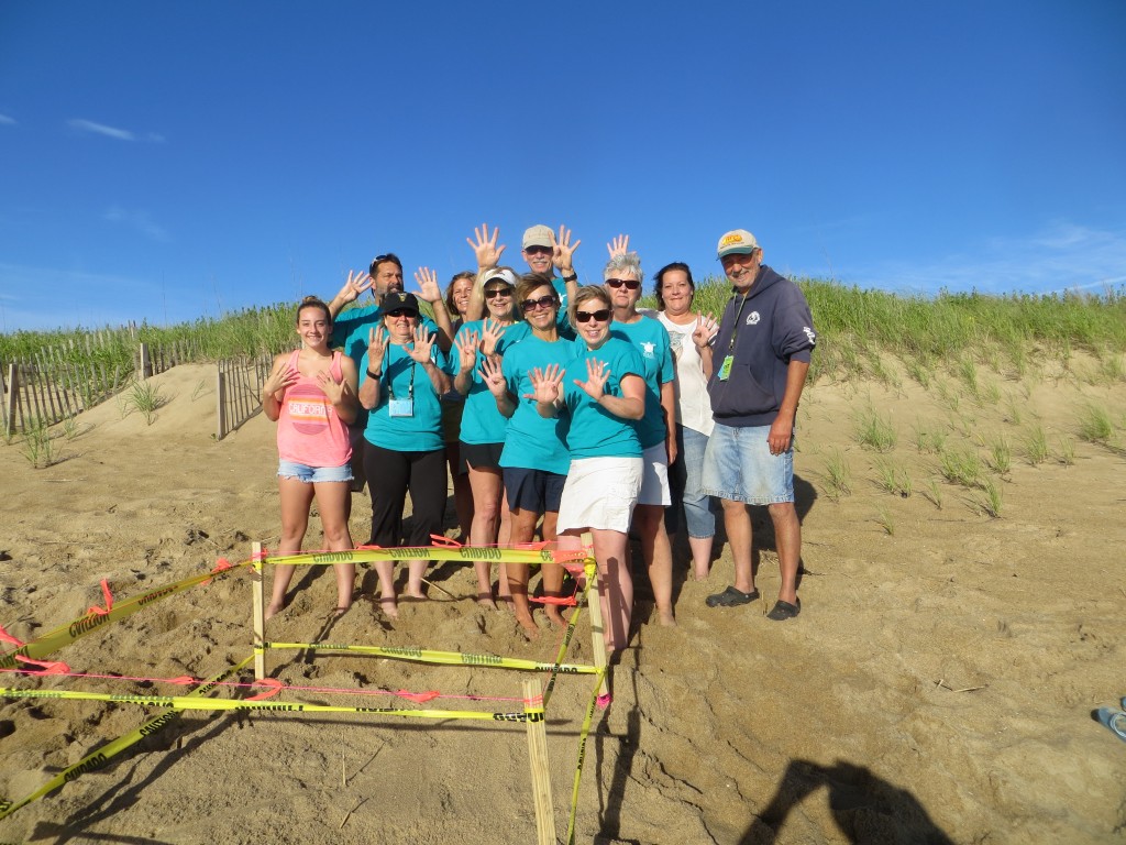 The team with nine fingers raised high in competition for the best dressed sea turtle nest for the 2016 season