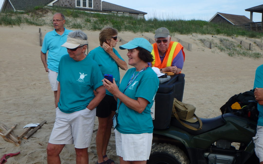 2016 sea turtle nest #3