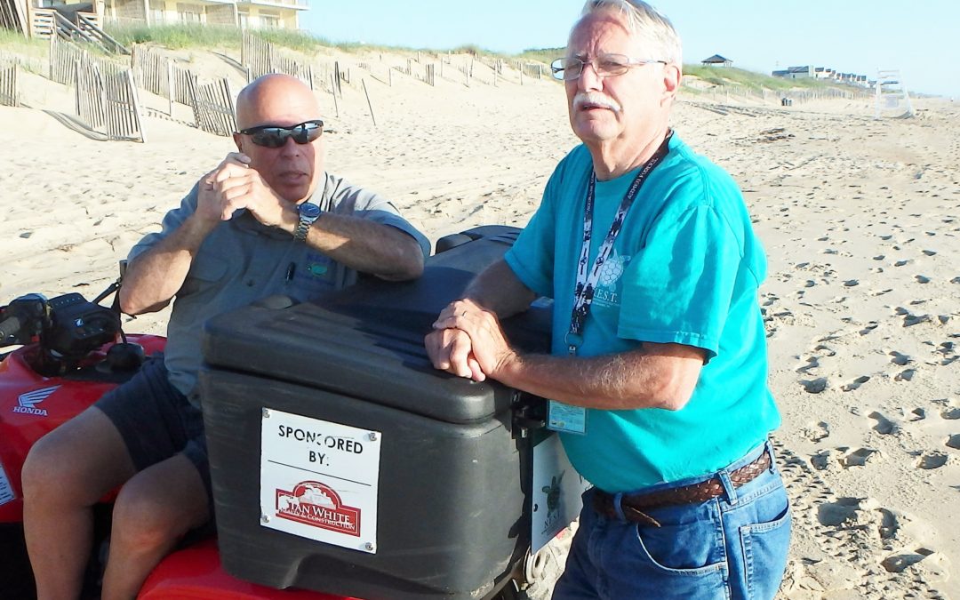 2016 sea turtle nest #5