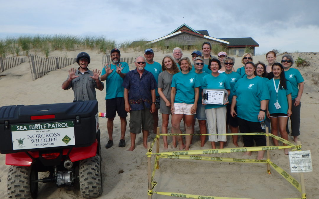 2016 sea turtle nest #19