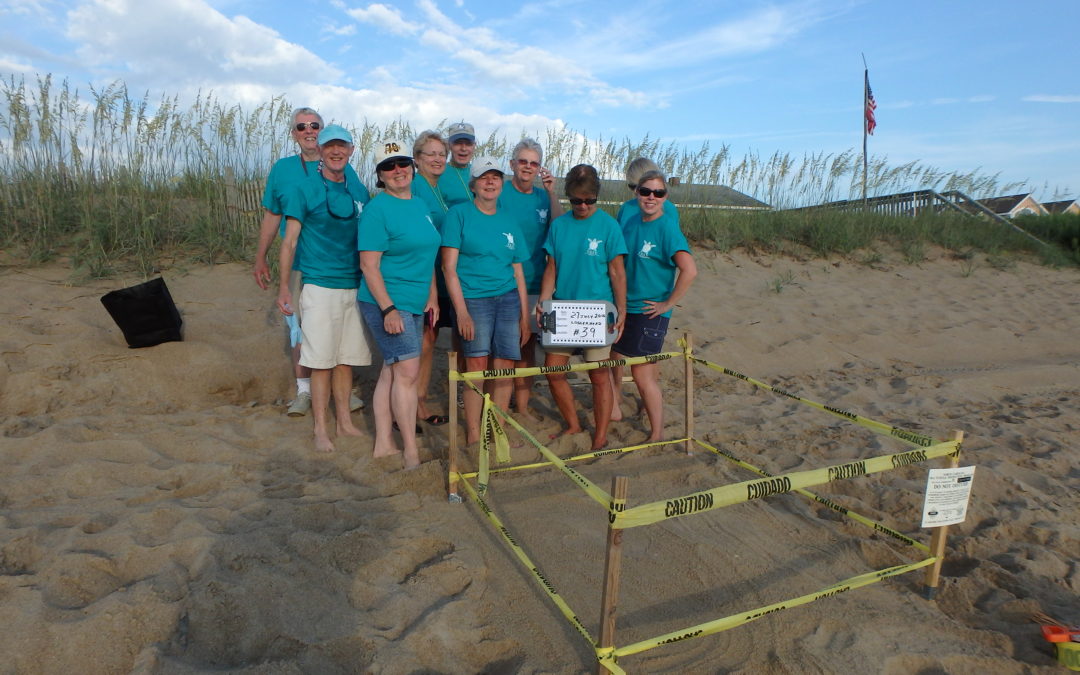 Sea turtle nest #39 in Southern Shores