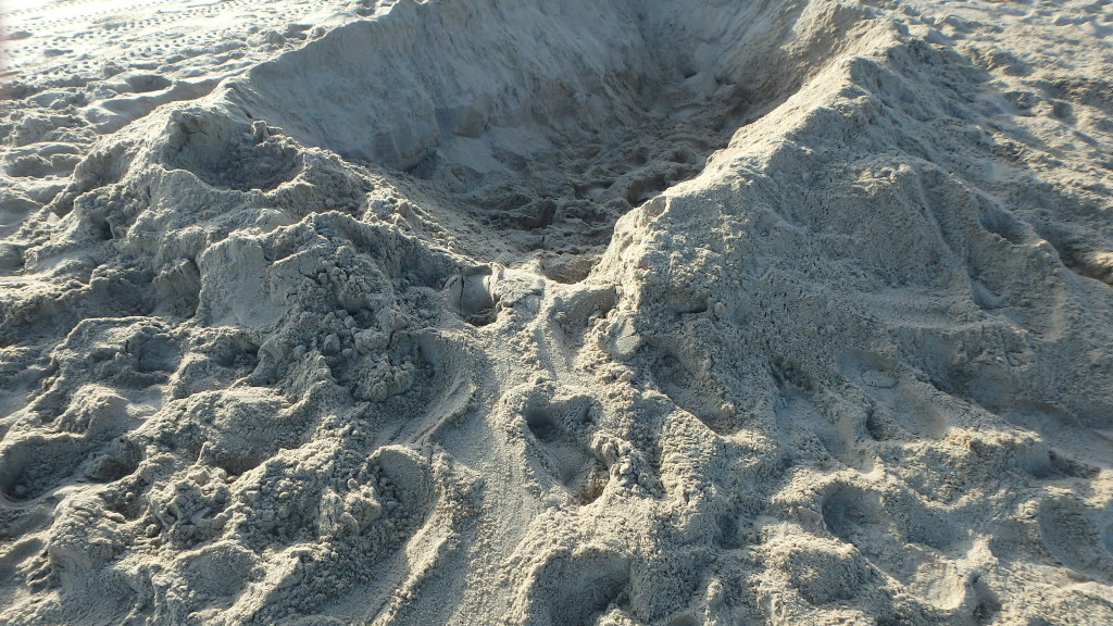 The incoming and outgoing sea turtle track.