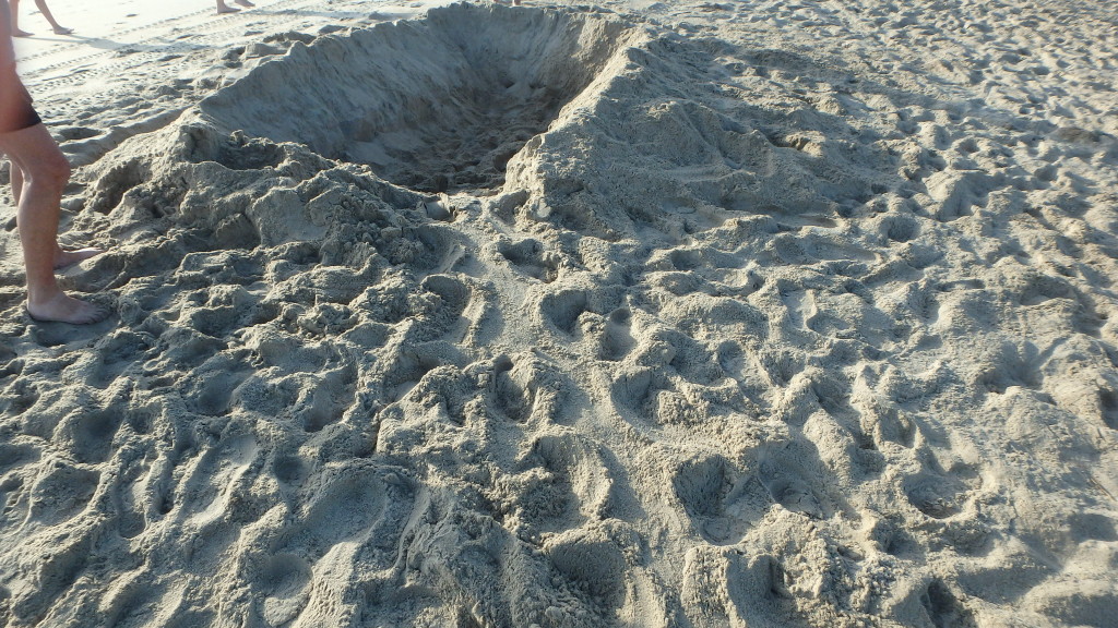 The outgoing Loggehead sea turtle track