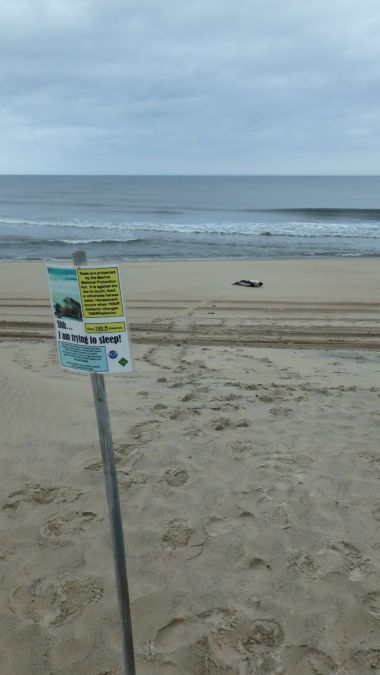 Signs placed at a distance to advise beach users of R&R time for the Harp.