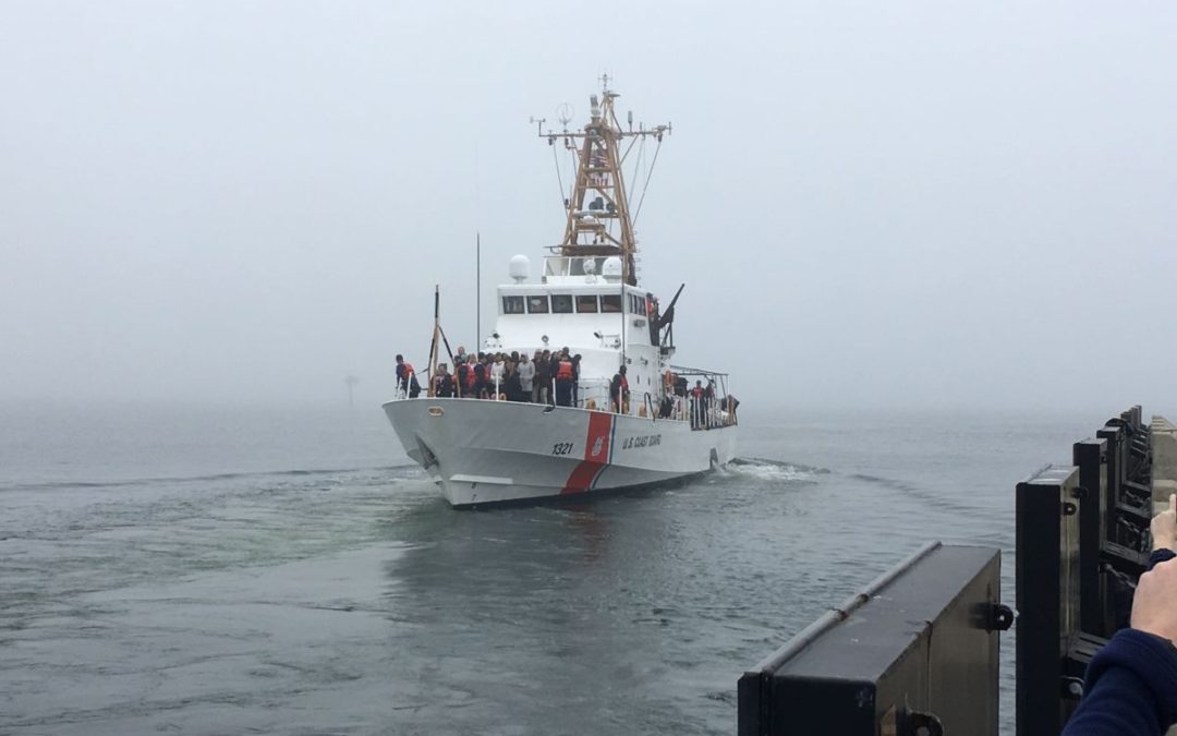 US Coast Guard releases sea turtles