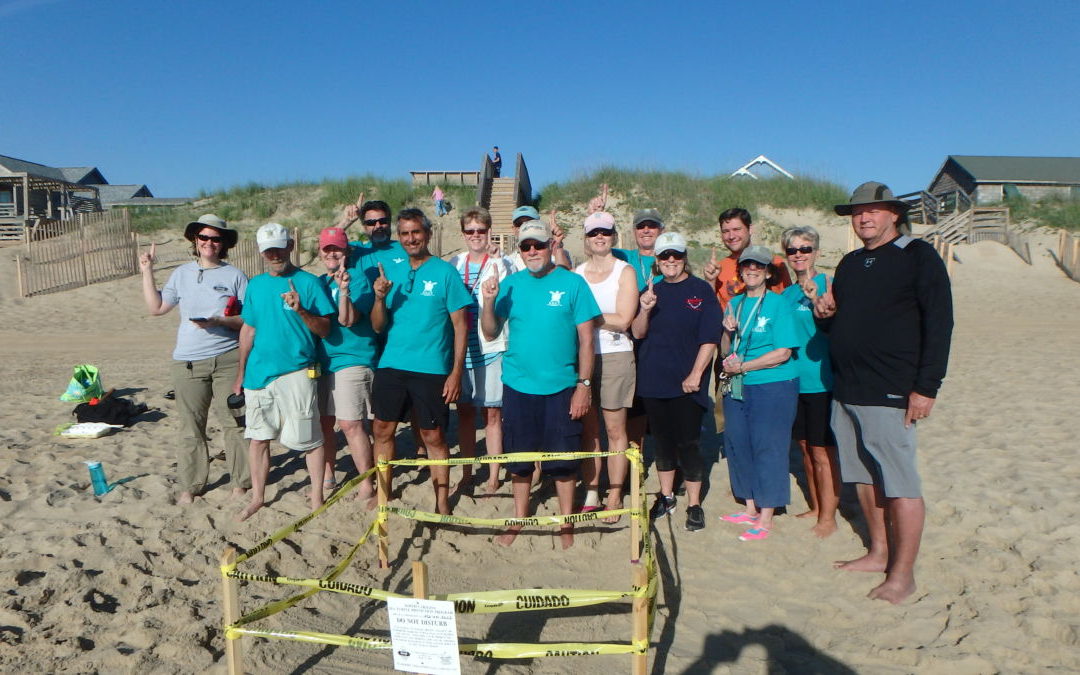 Sea Turtle Nest 01 for NEST for the 2017 nesting season