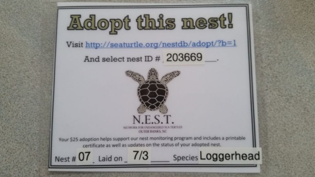 A Adopt-A-Nest sign which contains the Seaturtle.org ID #, the NEST nest #, Date laid and the Species of the sea turtle.