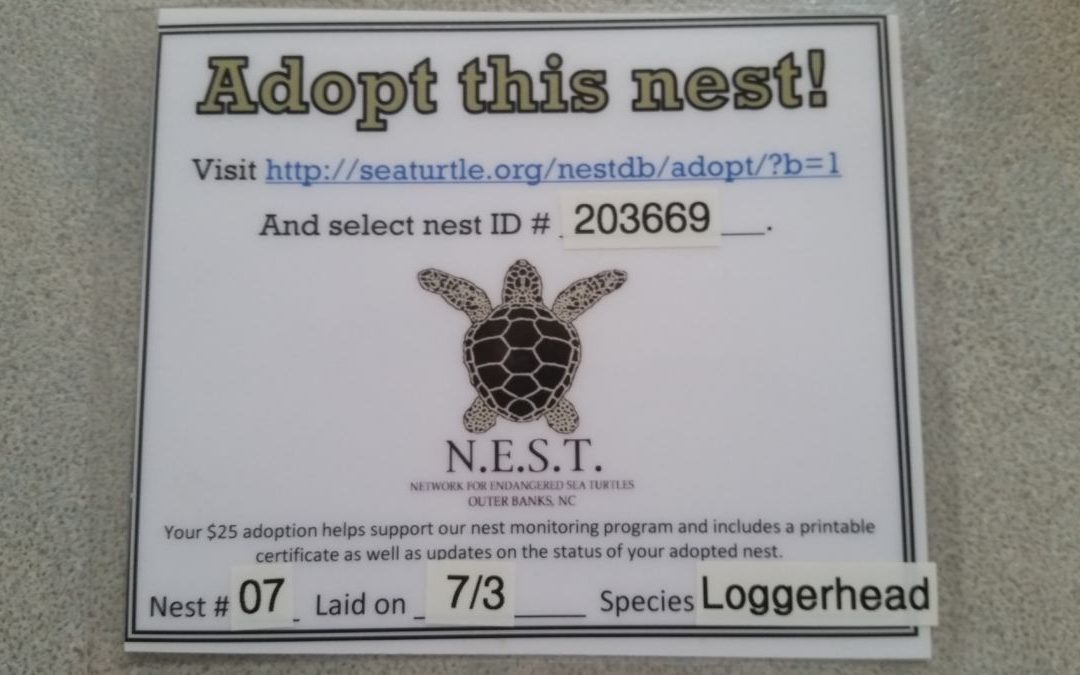 Sea Turtle Adopt-A-Nest 2018