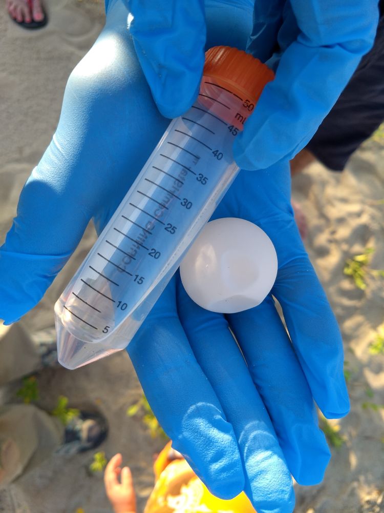 VDNA sample vial with DNA (turtle egg shell) sample inside