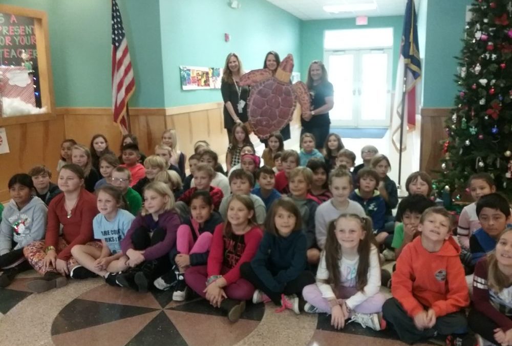 Cape Hatteras Elementary School Third Graders Learn about Sea Turtles