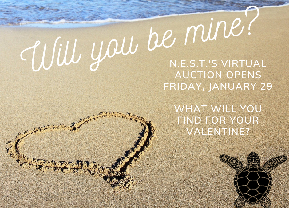 N.E.S.T.’s Fun Fabulous Virtual Valentine’s Day Auction Opens Friday January 29th!