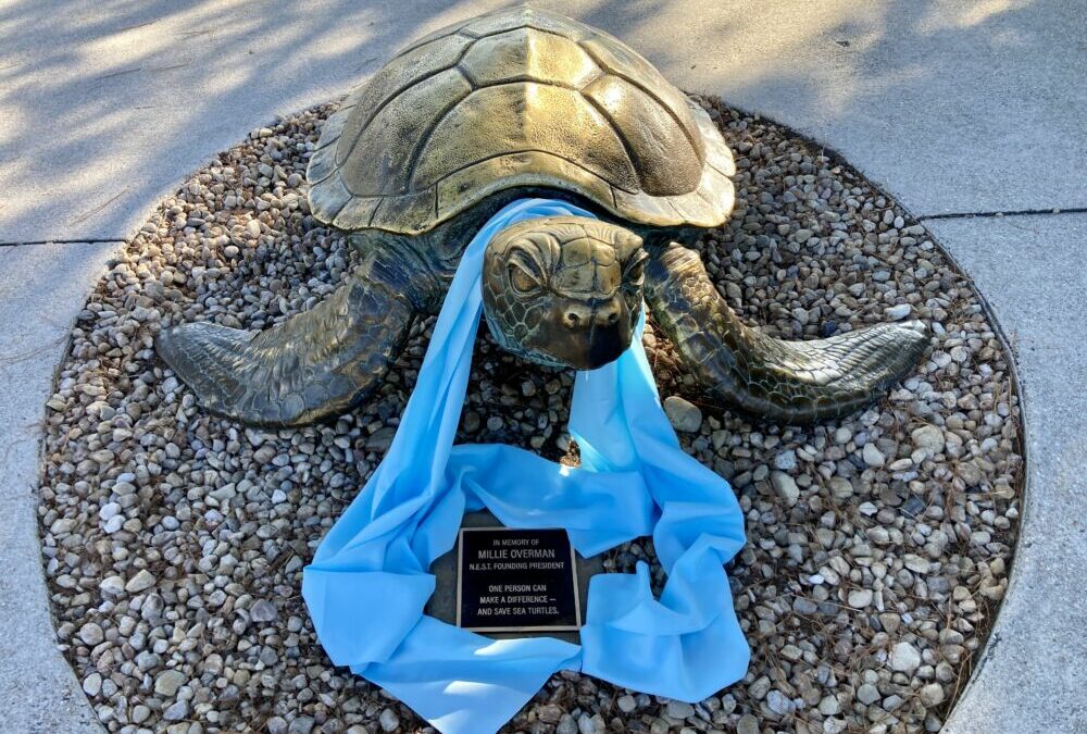 Aquarium’s Bronze Sea Turtle Statue Dedicated to Local Sea Turtle Hero